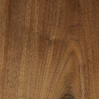 black walnut wood sample