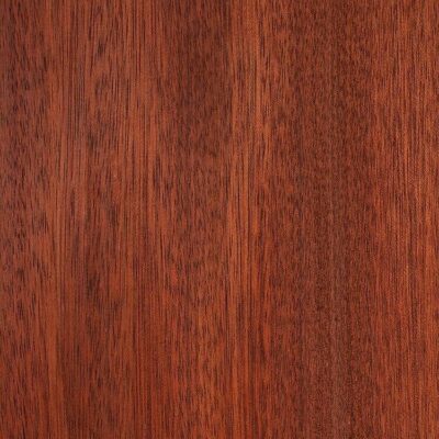 bloodwood sample