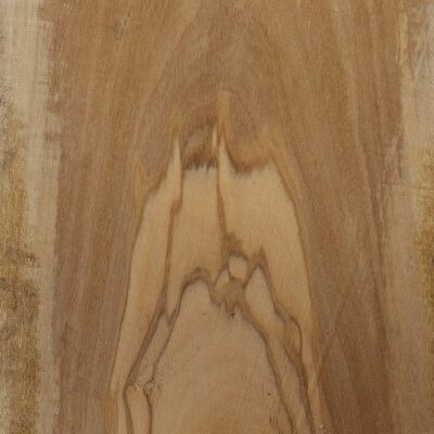 olive wood sample