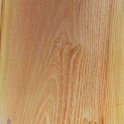 osage orange wood sample